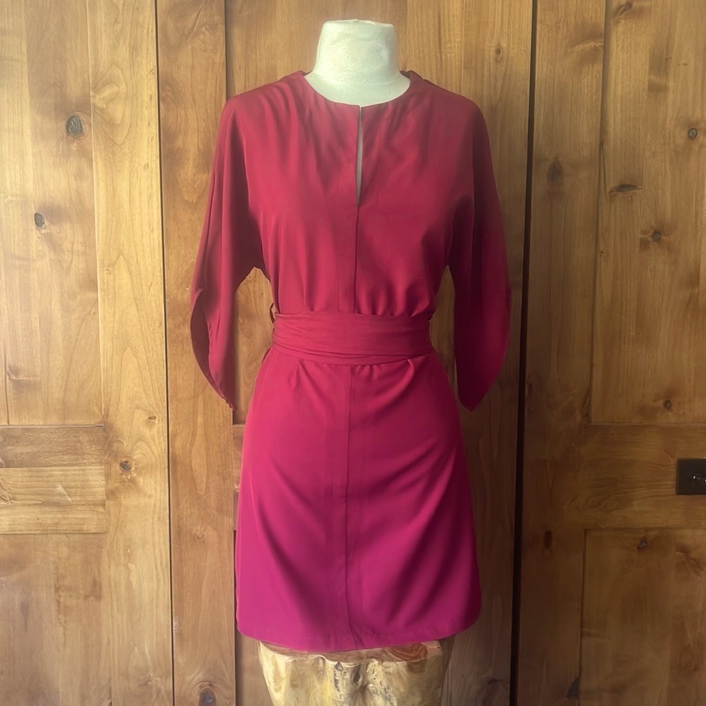 Small magenta short dress